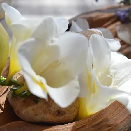 Su Biancu - Sardinian Experience 3*