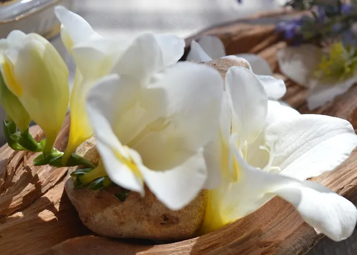 Su Biancu - Sardinian Experience 3*